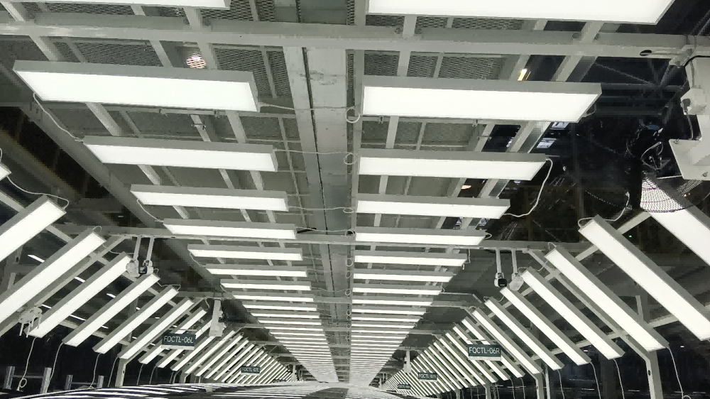 室内监控展示